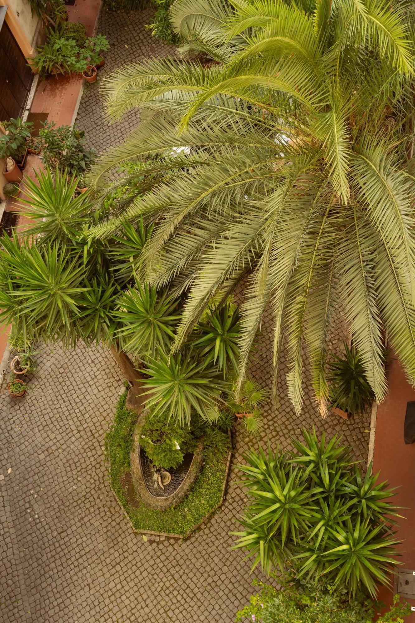 La Casa Di Amy Affittacamere