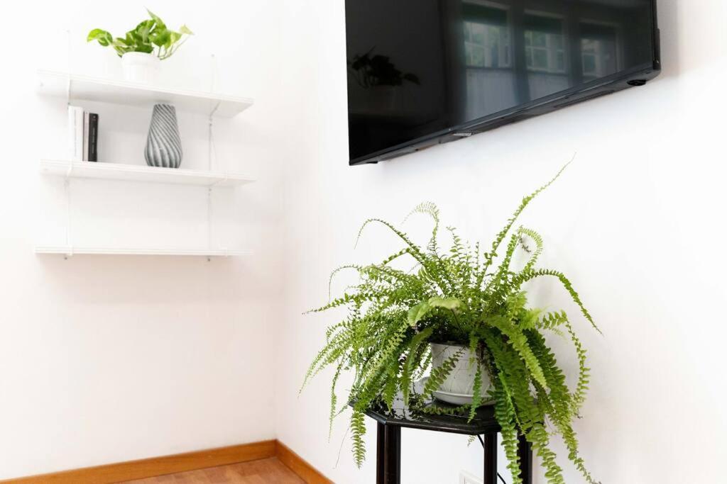 Casa vacanze Domus Boito Roma