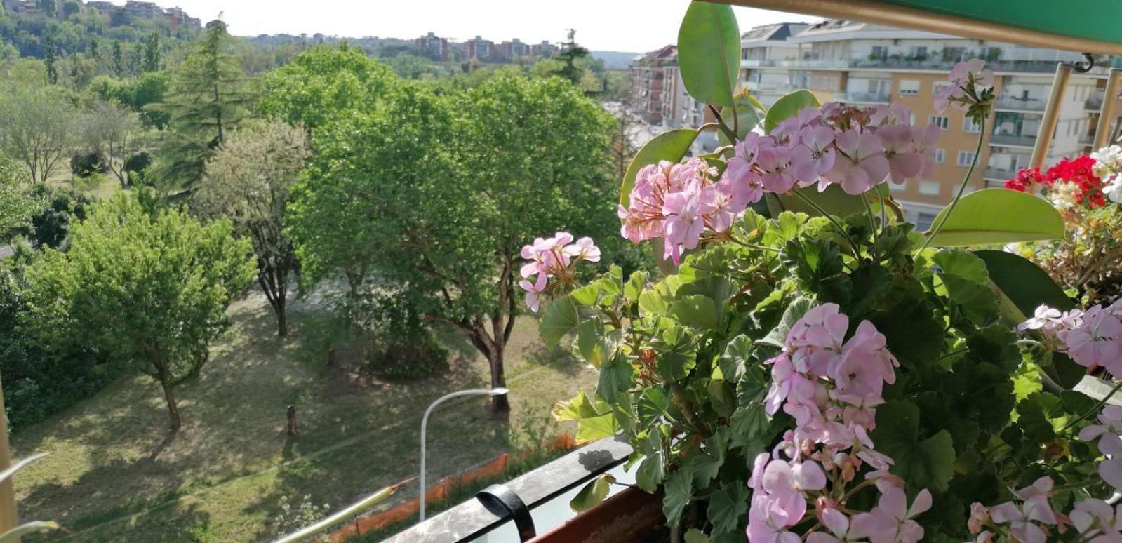 Appartamento Conca D'oro 212