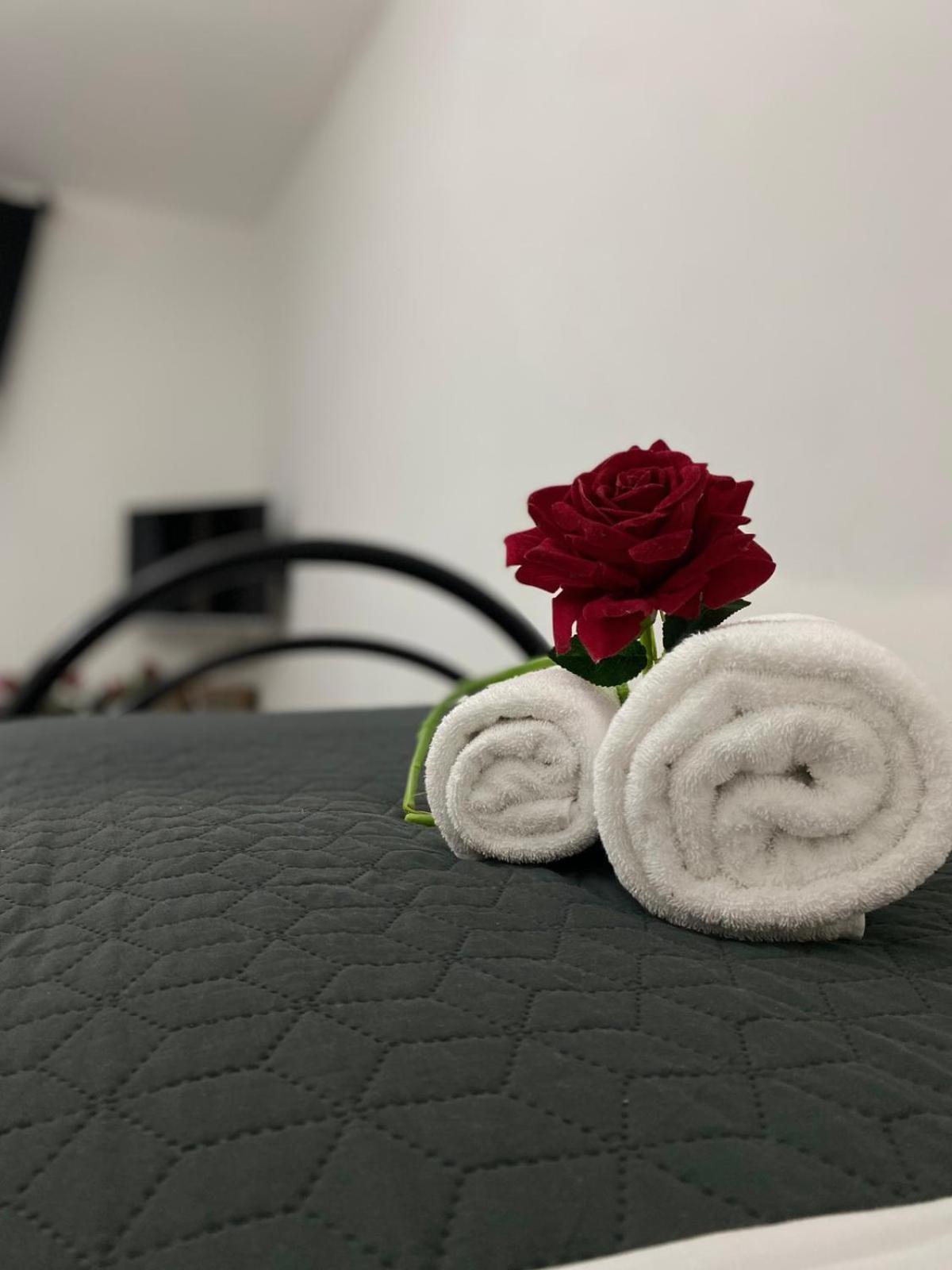 Red Roses Domus Apartamento