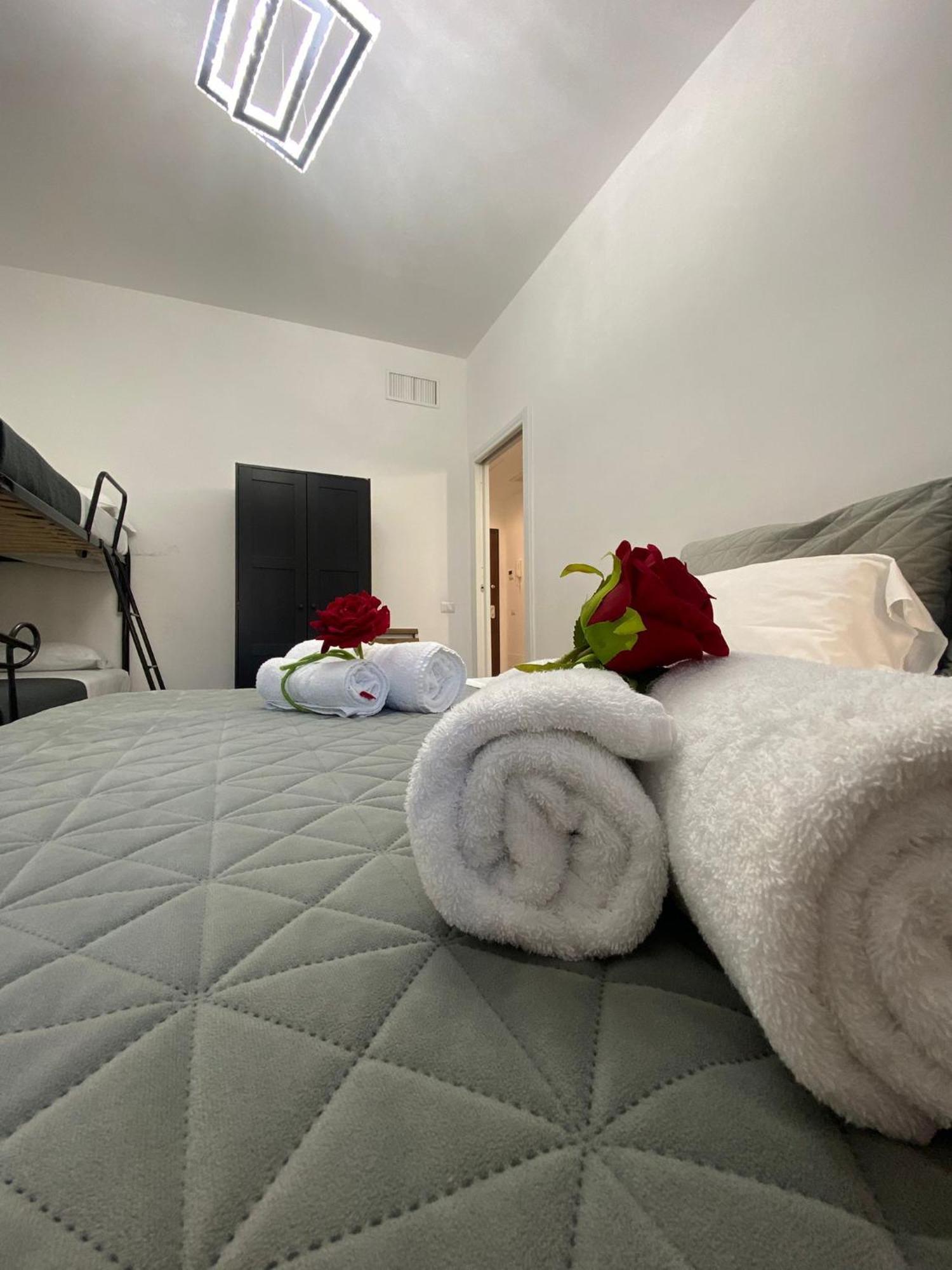 Red Roses Domus