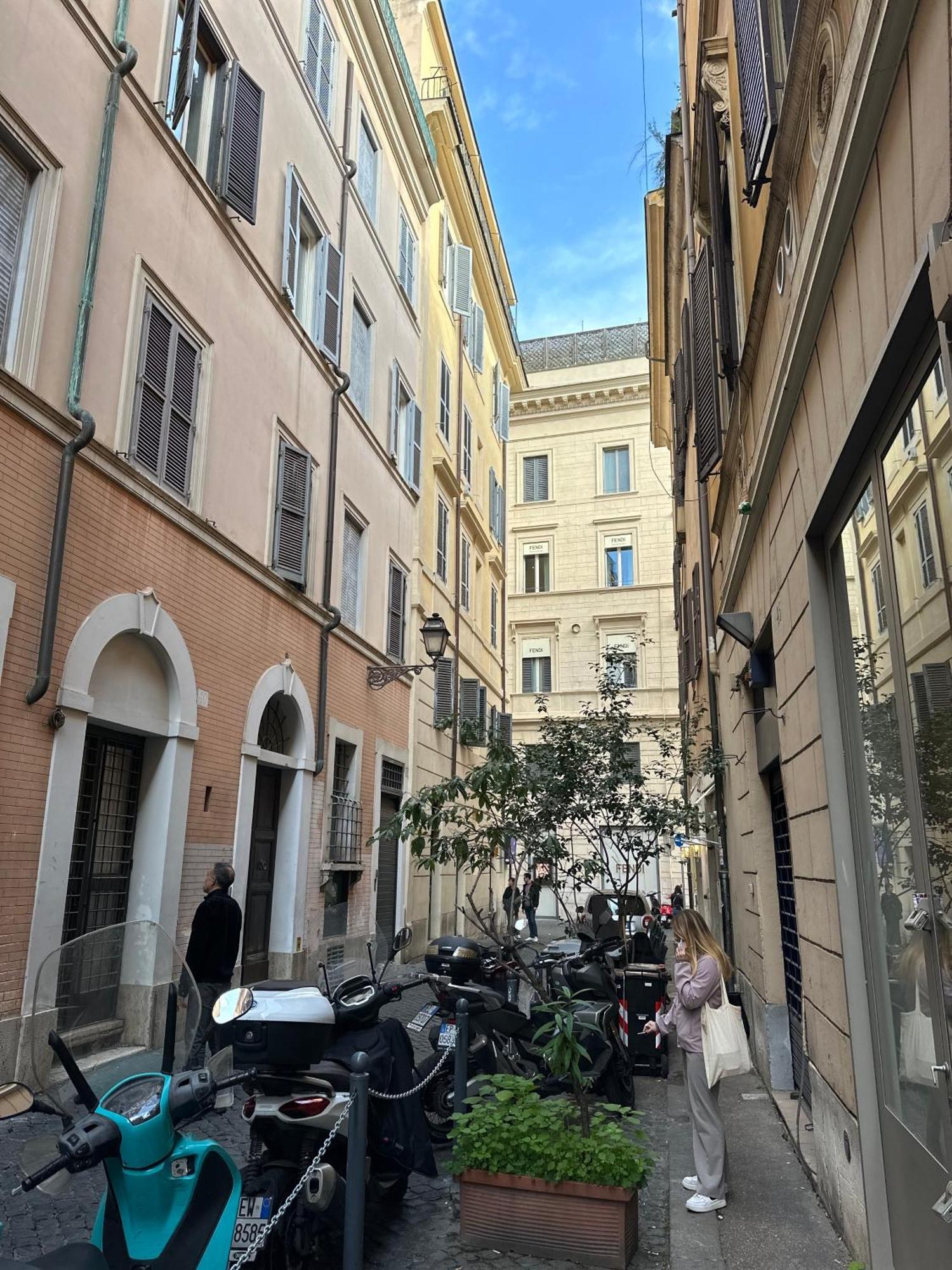 Nocitoviacondotti