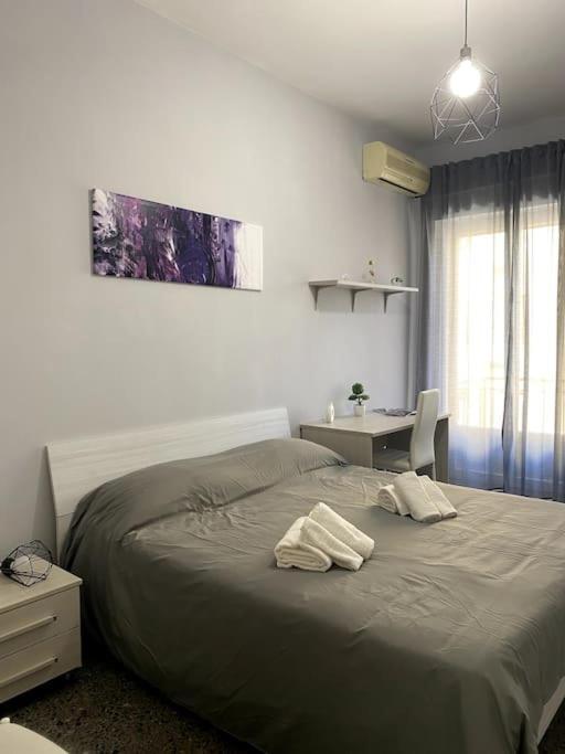 Equites * Roma