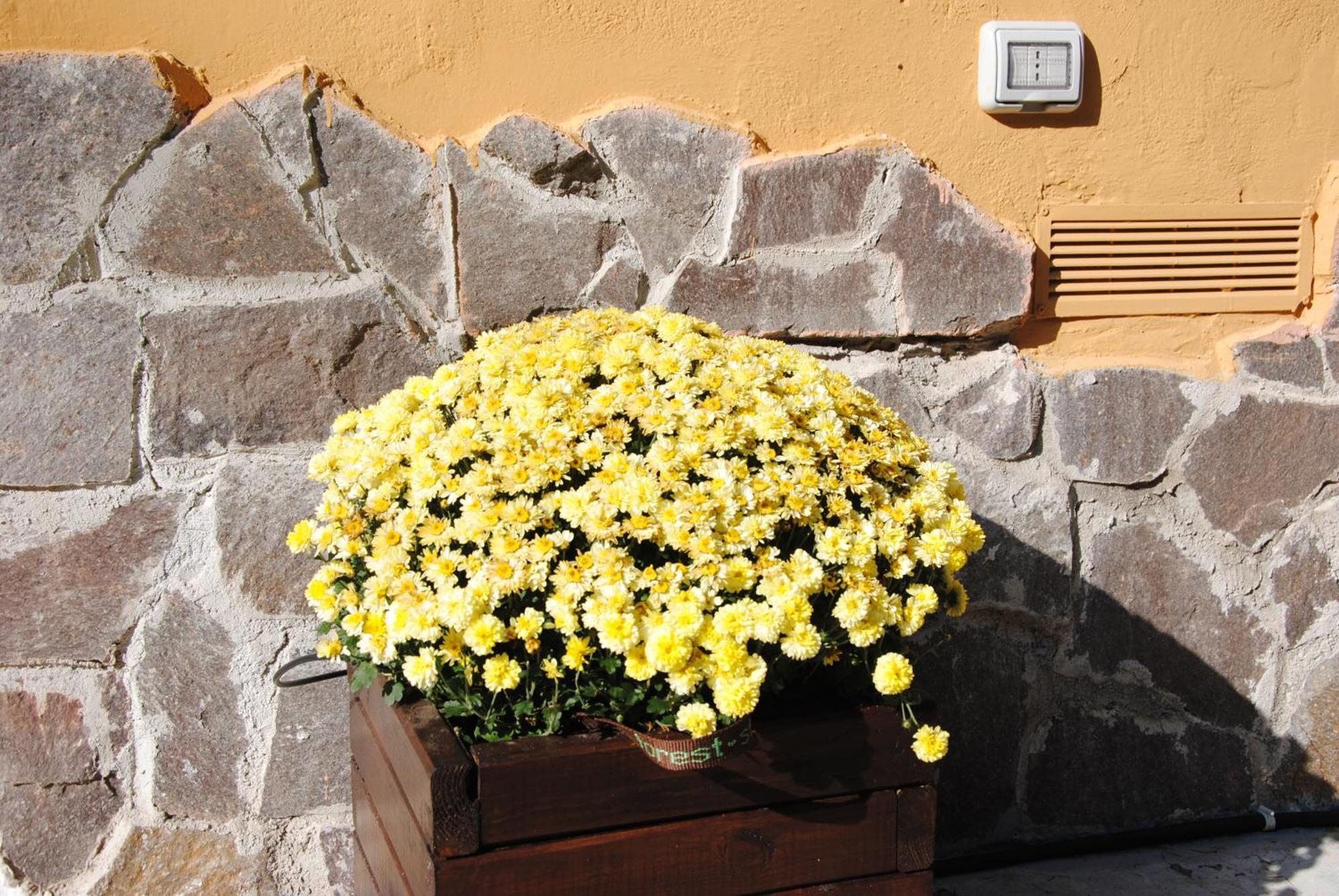 Il Portoncino Apartamento