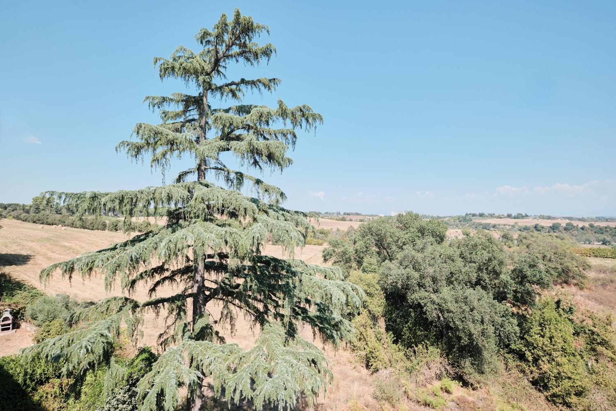 Due Con Vista A - Zona Cassia Roma