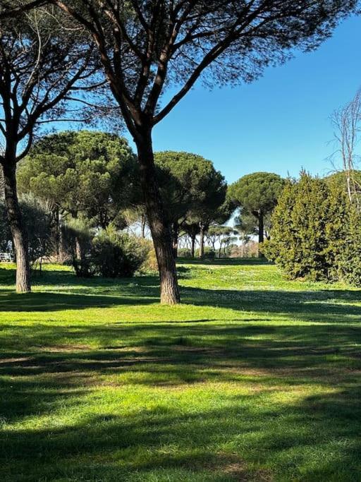 Appartamento Olimpia Roma