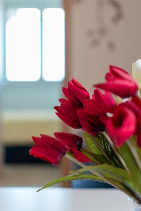 Living - San Paolo Apartamento