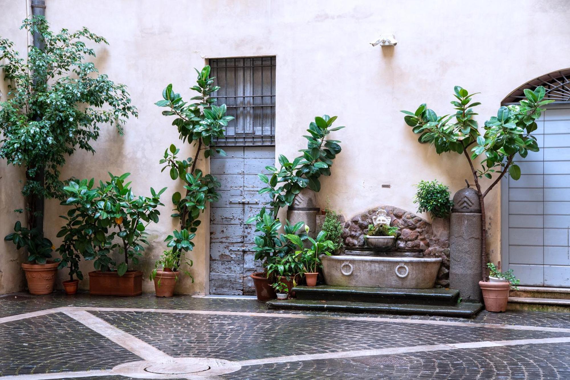 Il Sogno Delle Tartarughe Appartamento Roma