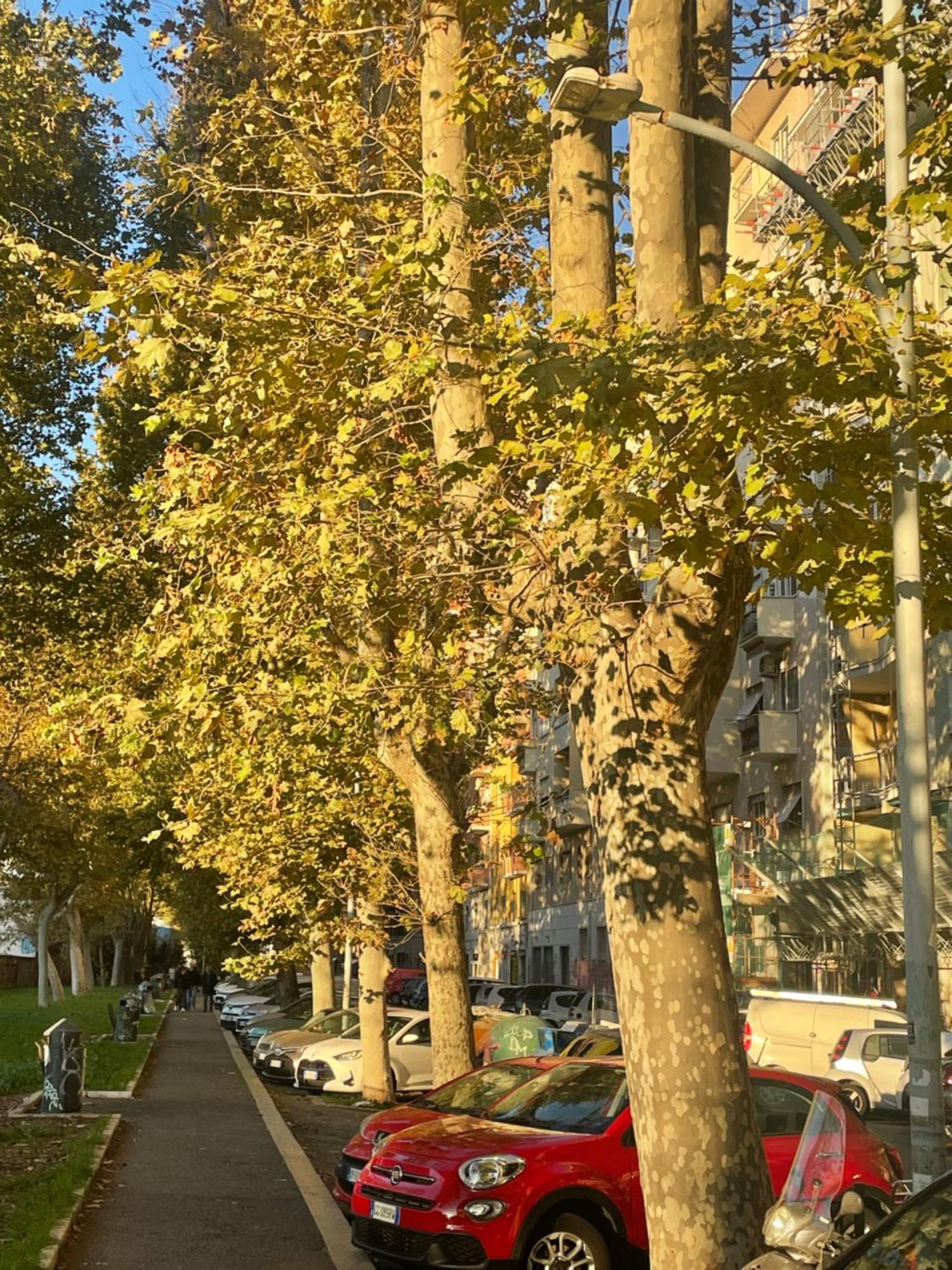 Leilighet Stepahouse Zona San Paolo Elegante Bilocale A 2 Minuti Dalla Metro B *