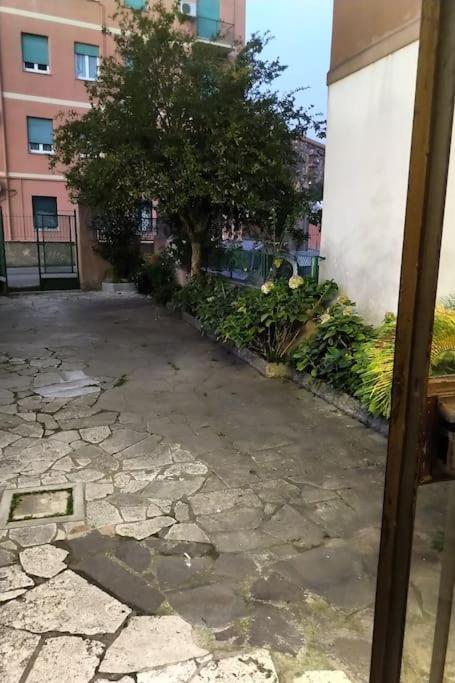 Monolocale Tiburtina Luminoso, Centrale, Silenzioso E Con Parcheggio Antistante Appartamento Roma