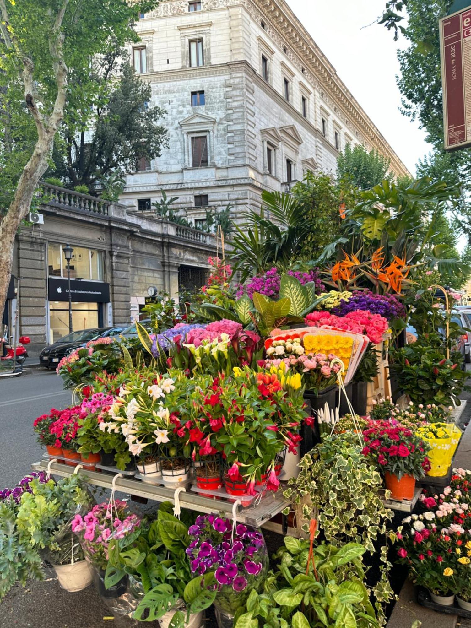 Candia Bed & Breakfast Roma