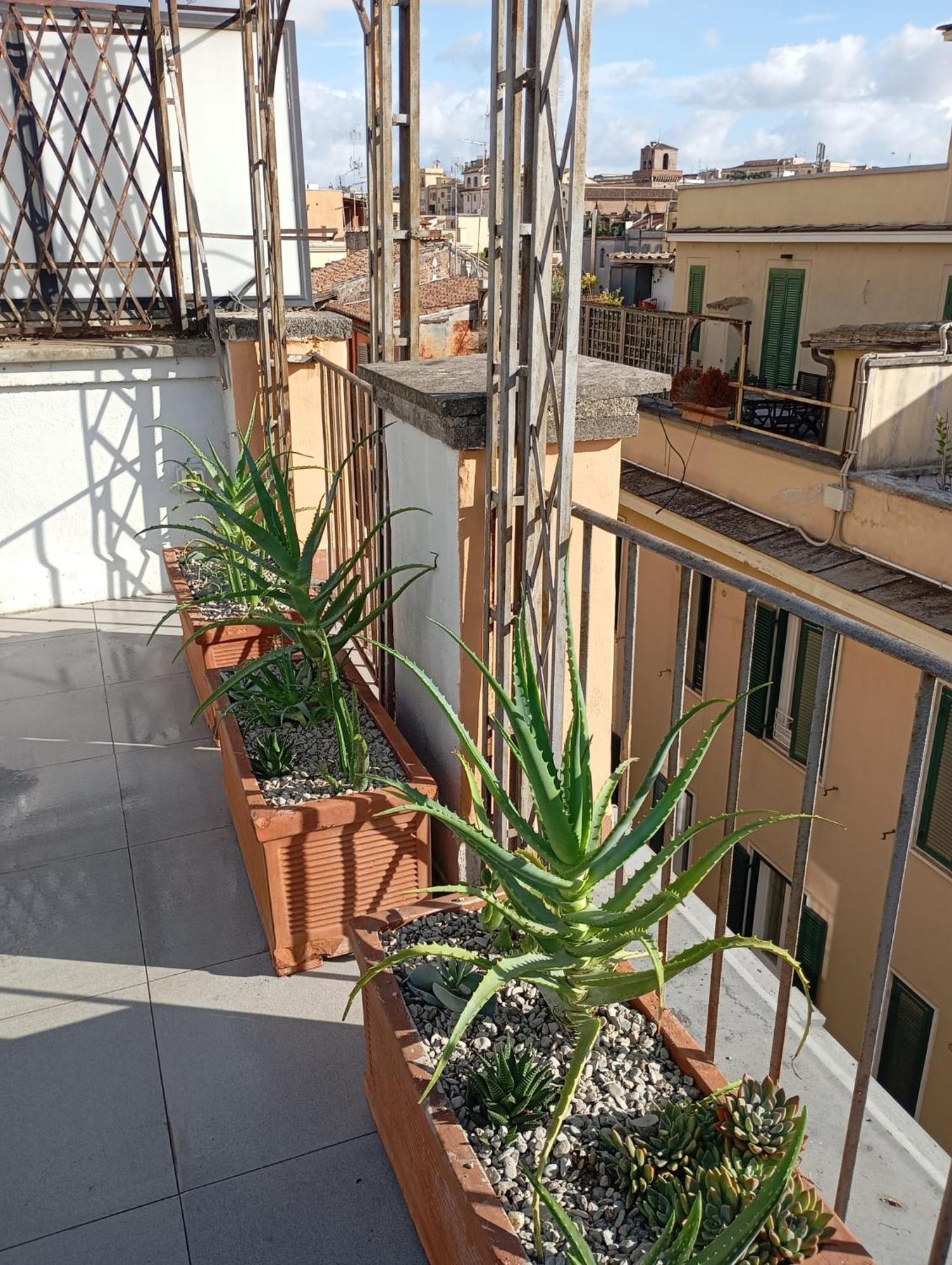 Apartment Colosseum Exclusive Duplex