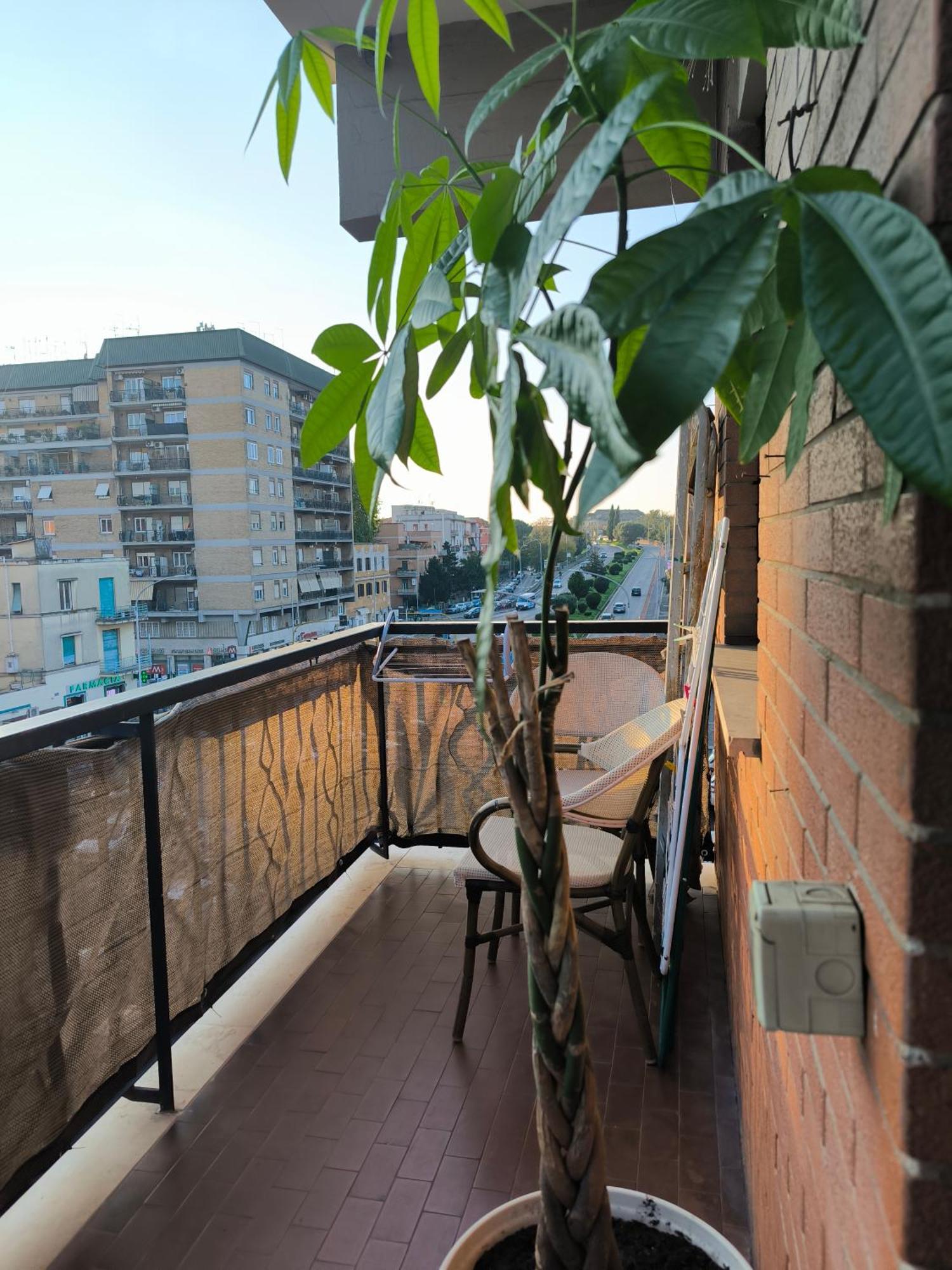 Apartamento The Italian House In A Pochi Passi Dalla Metro A Roma