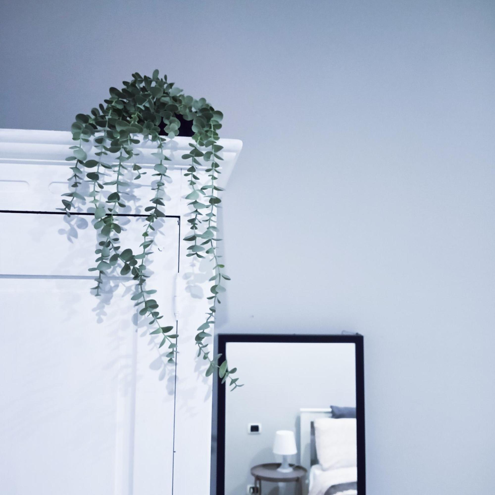 Candia Sweet Apartamento *