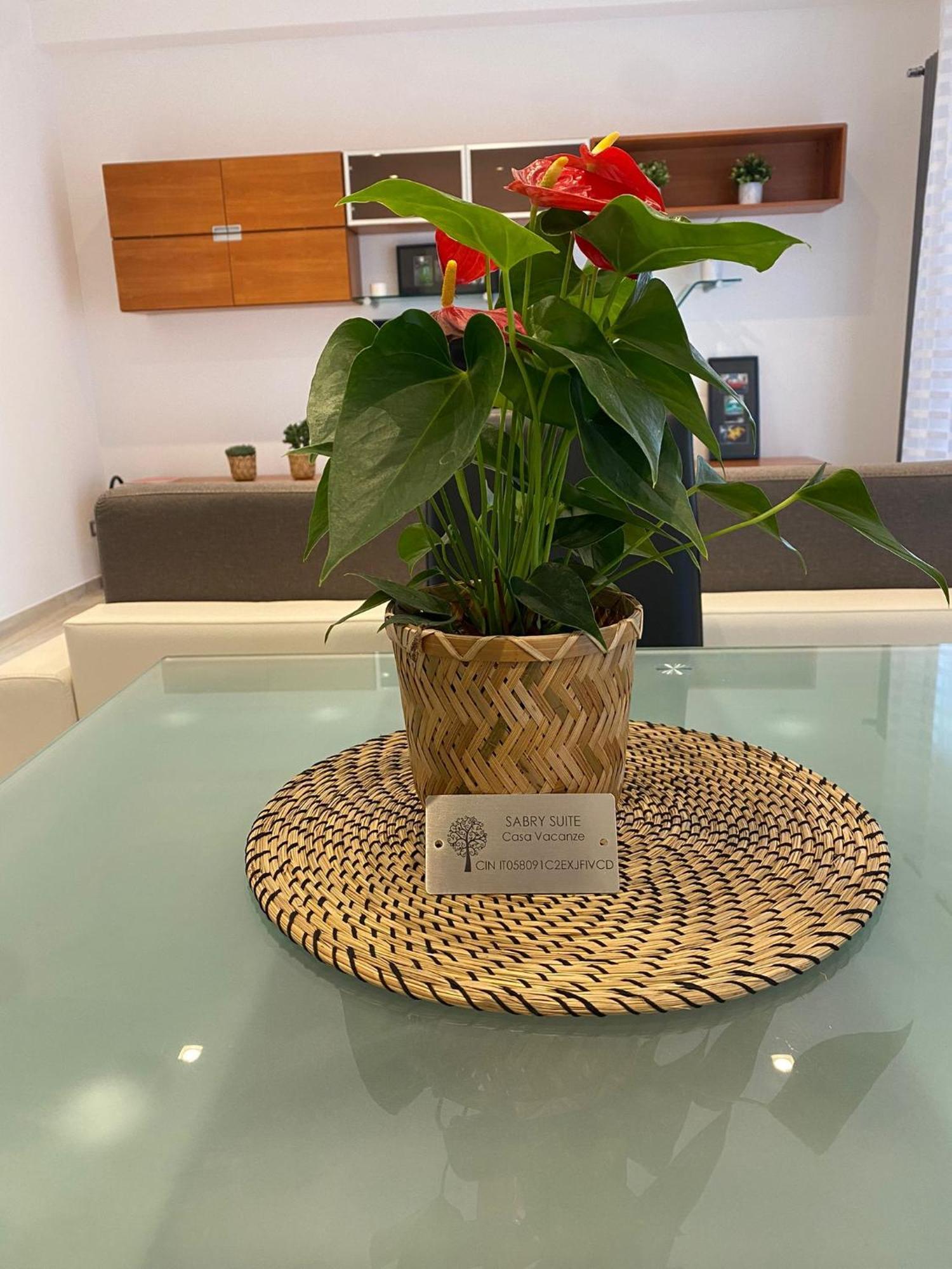 Apartamento Sabry Vaticano Roma