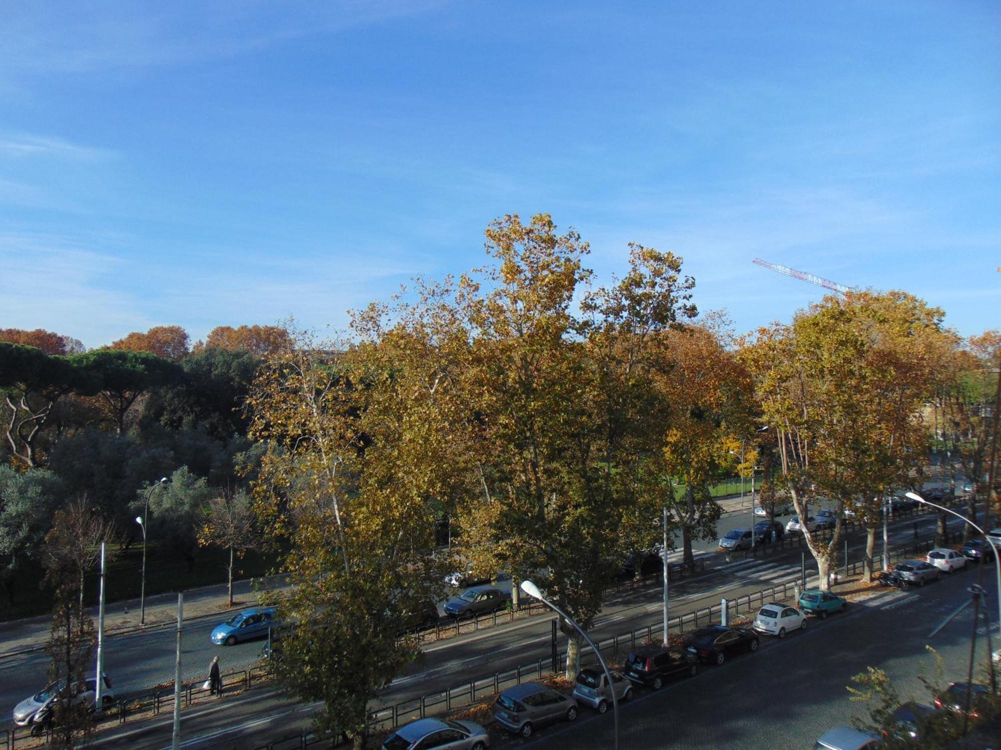 Circo Massimo Hospedagem domiciliar *