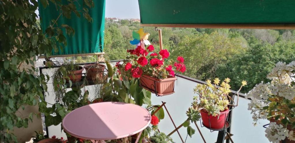 Appartamento Conca D'oro 212 *