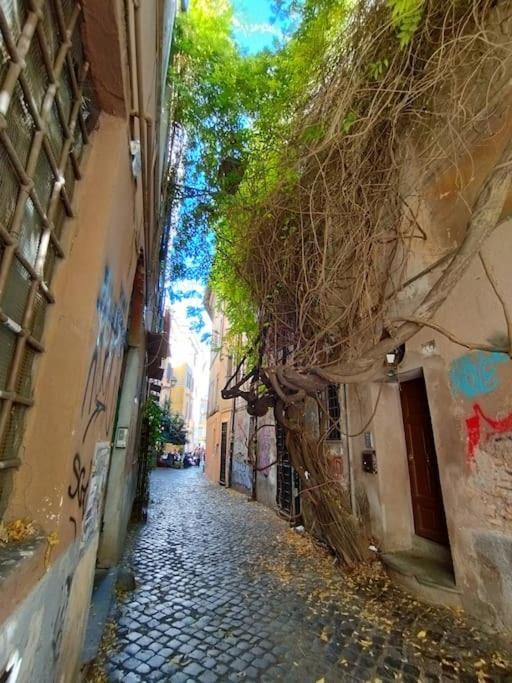 Angolo De Trastevere - Accogliente E Silenzioso
