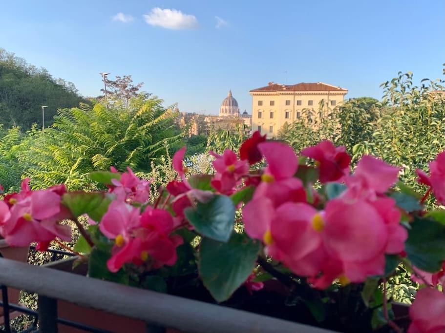 Rosa San Pietro Appartamento Roma