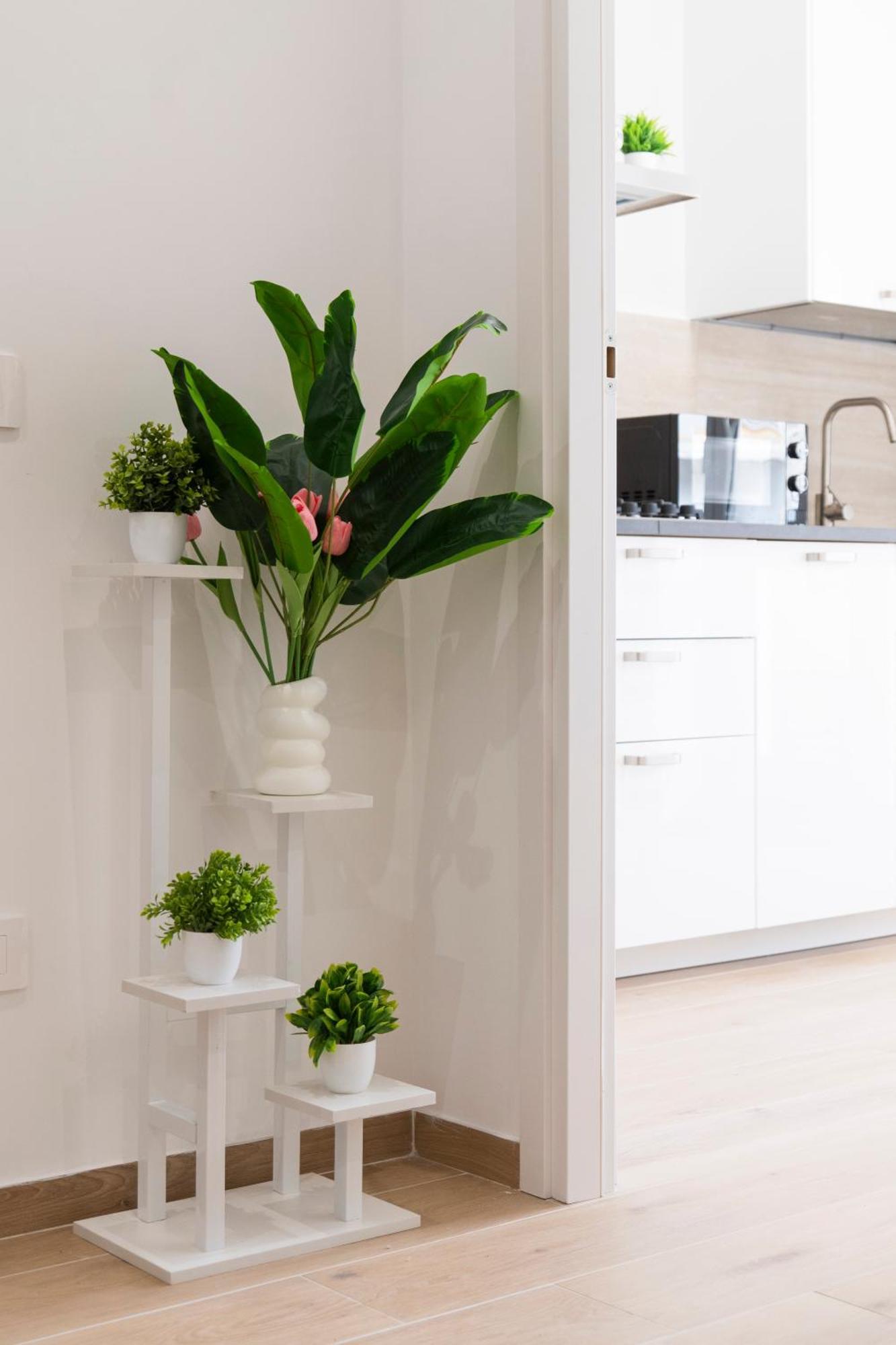 Cocoon House Appartamento *