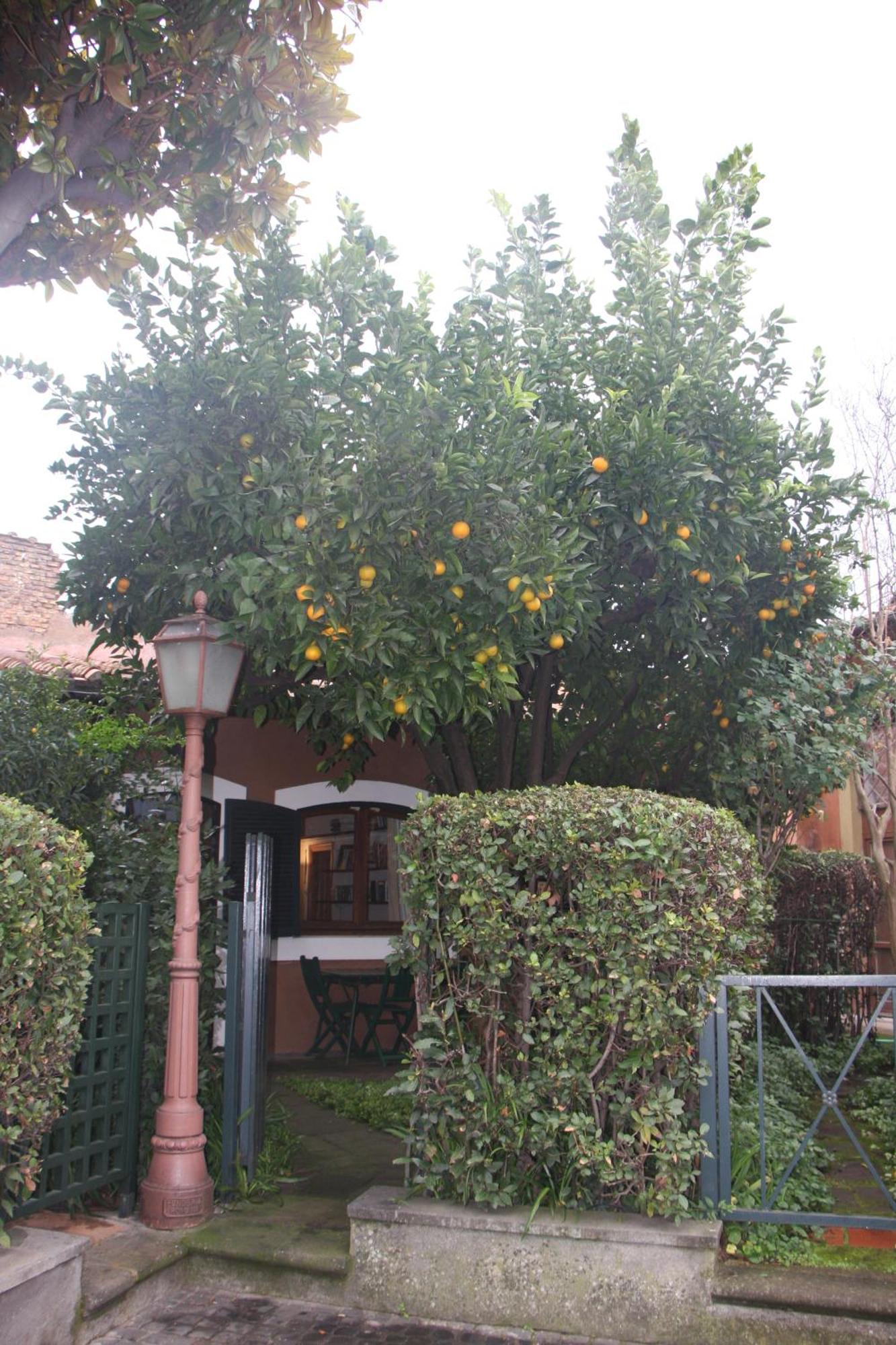 Garden Palatino