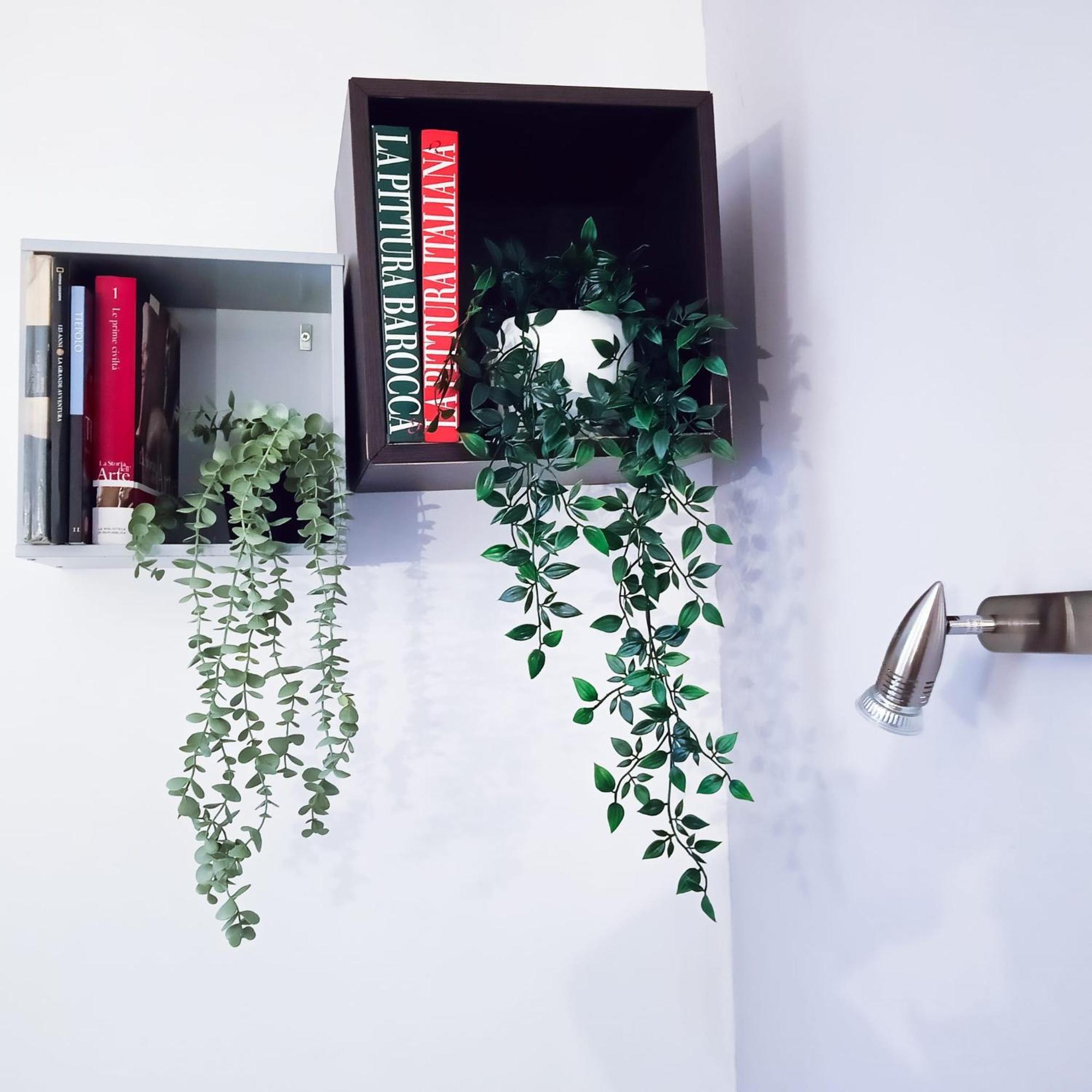 Apartamento Candia Sweet Roma