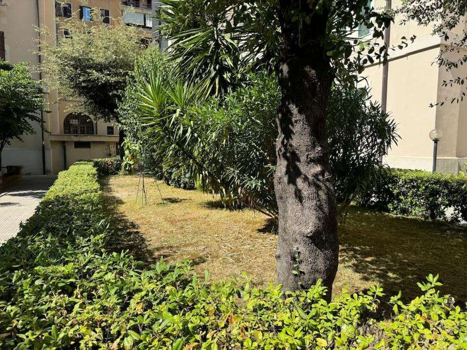 Casa Gigi Al Vaticano Appartamento *