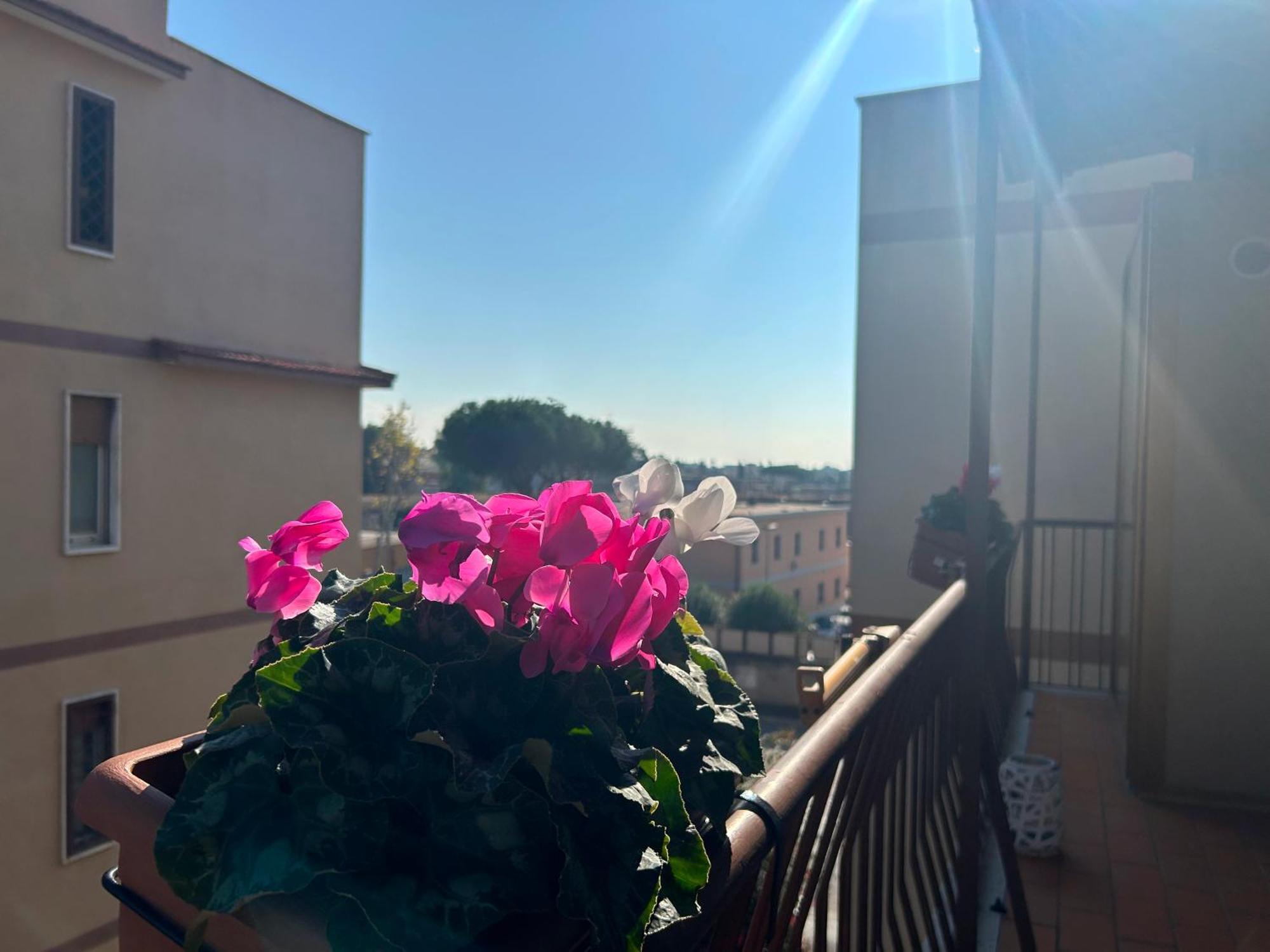 Apartamento Crazi4rome - Near Metro Battistini