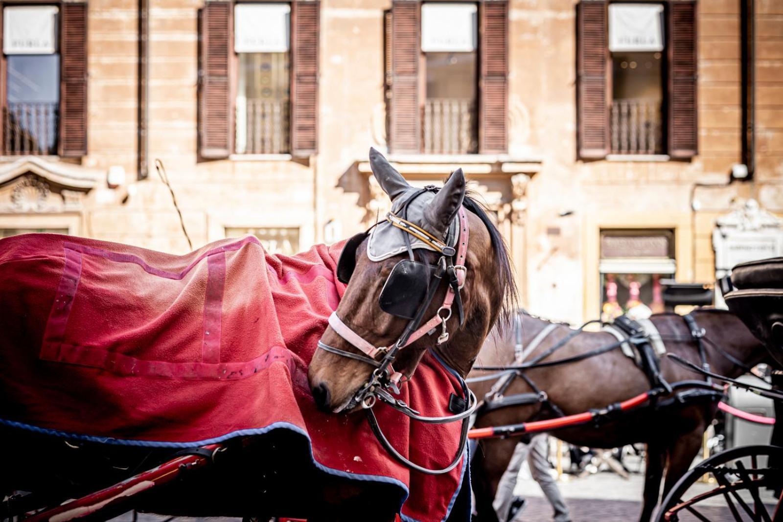 Spagna Luxury - Trevi Fountain Appartamento *