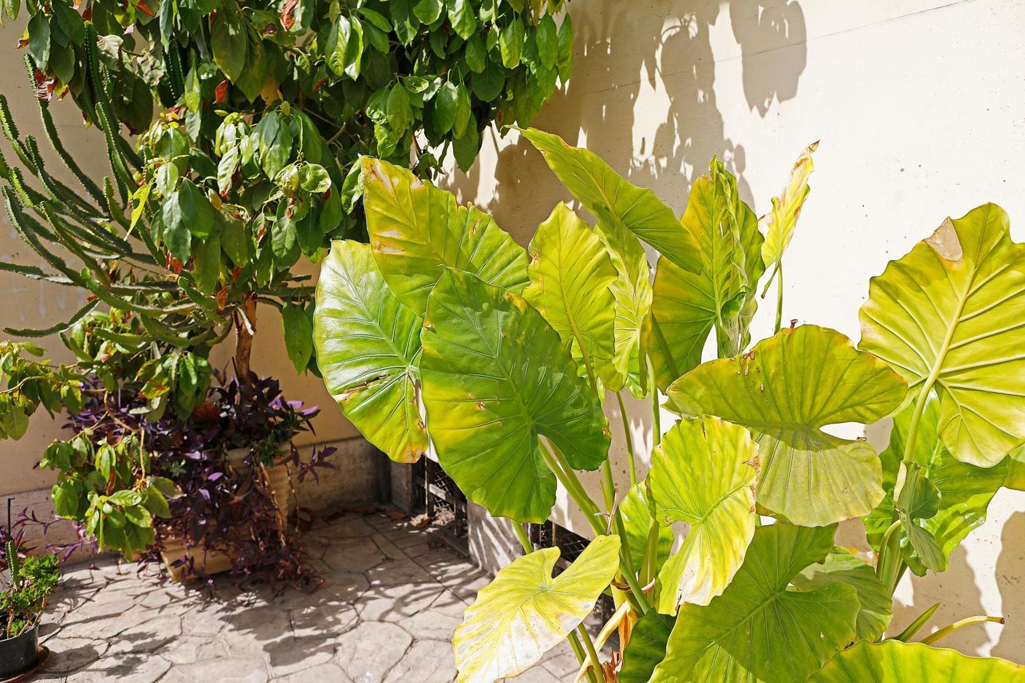 San Martino Bed & Breakfast Roma