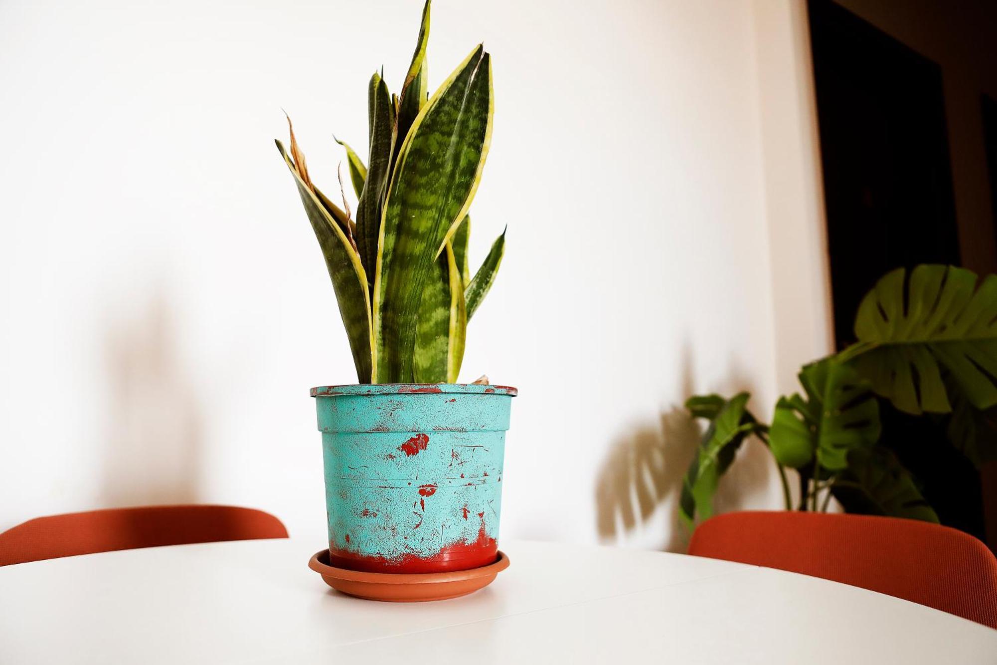 San Martino Bed & Breakfast Roma