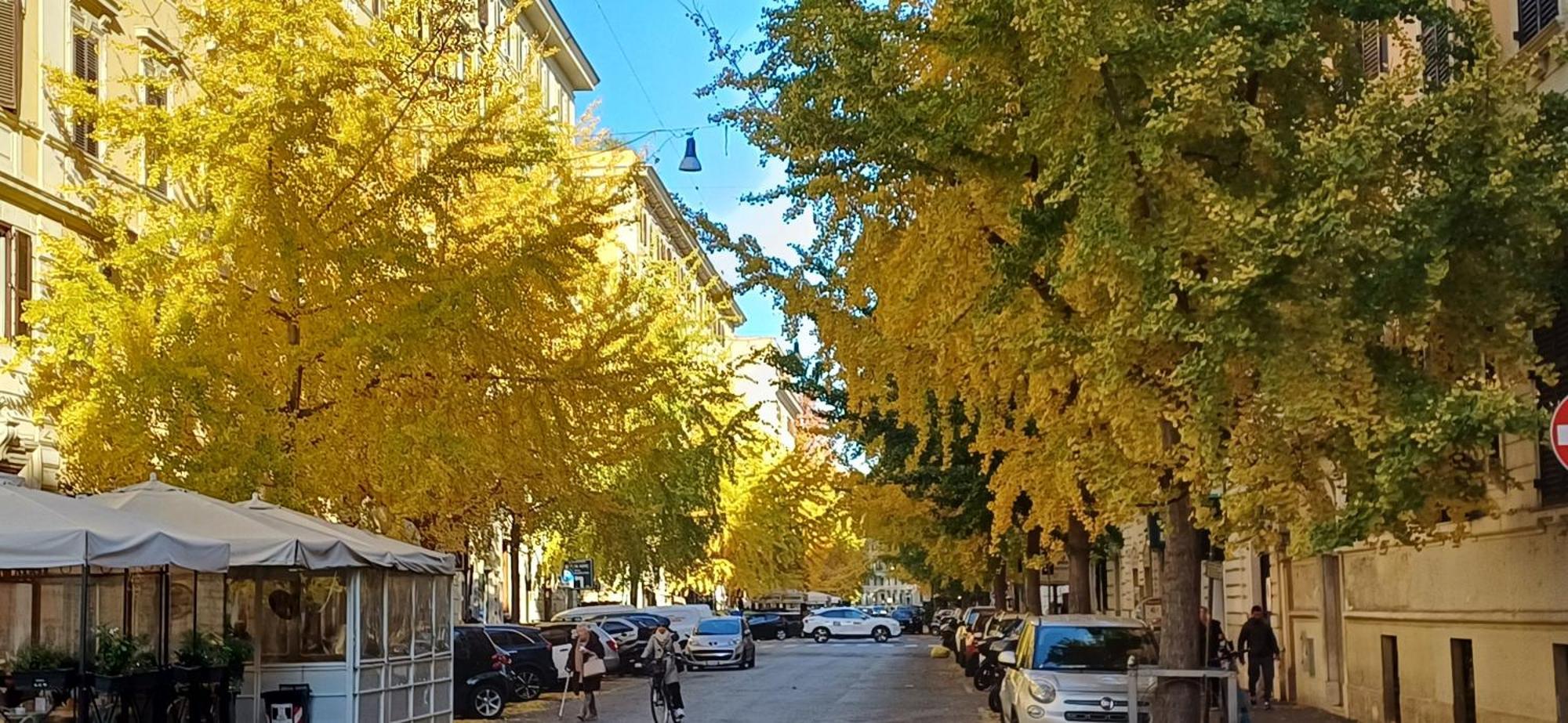 La Casa Dei Papi 71 * Rom