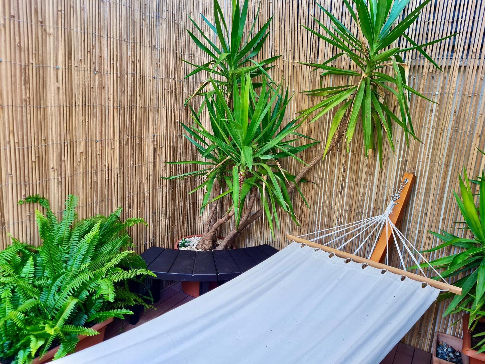 Carpe Diem House Apartamento *