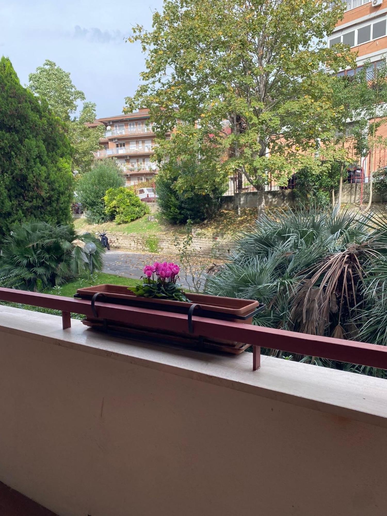 Paki House Luxury Roma