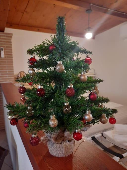 Casa Dantemini Casa Fiera Di Piana Del Solerm Fiumicino Apartment Rom
