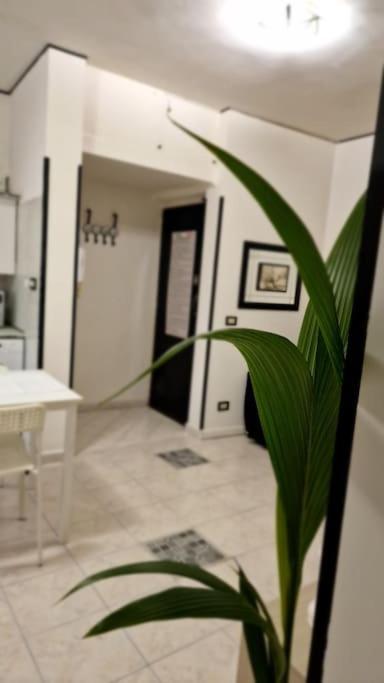 Brik's House Apartment