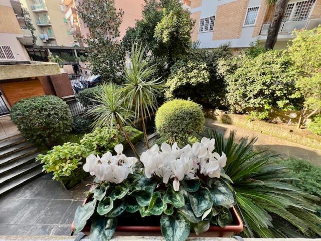 Apartamento La Casa Delle Camelie Roma
