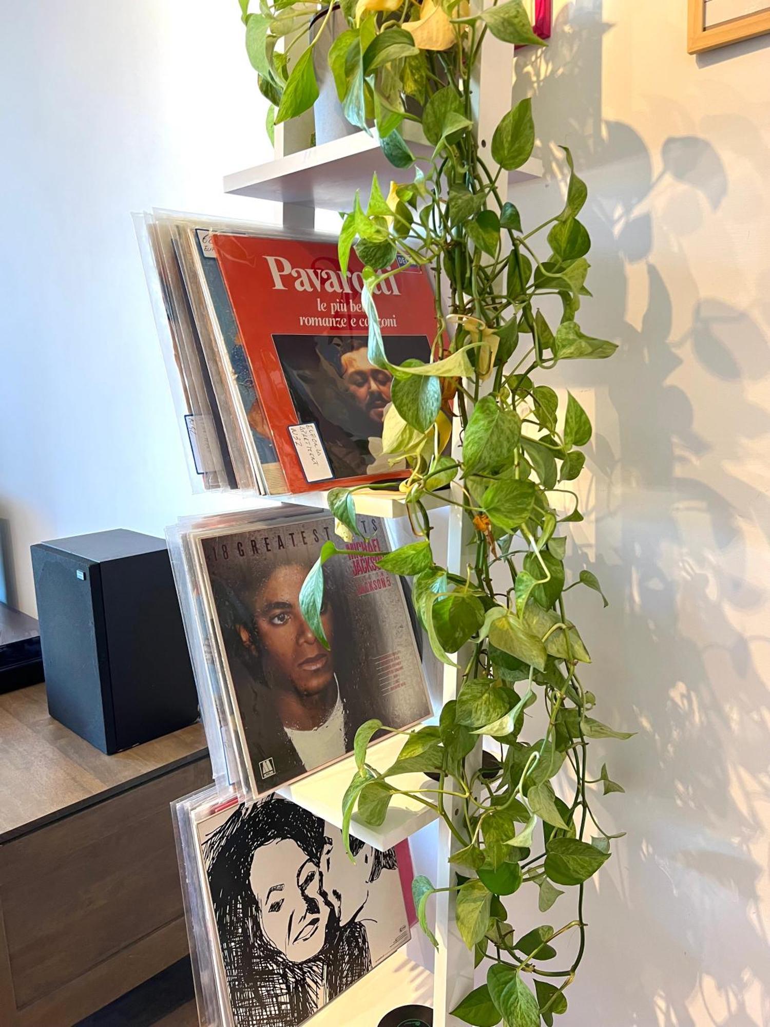 Eufonia Vinyl Friendly Apartamento Roma