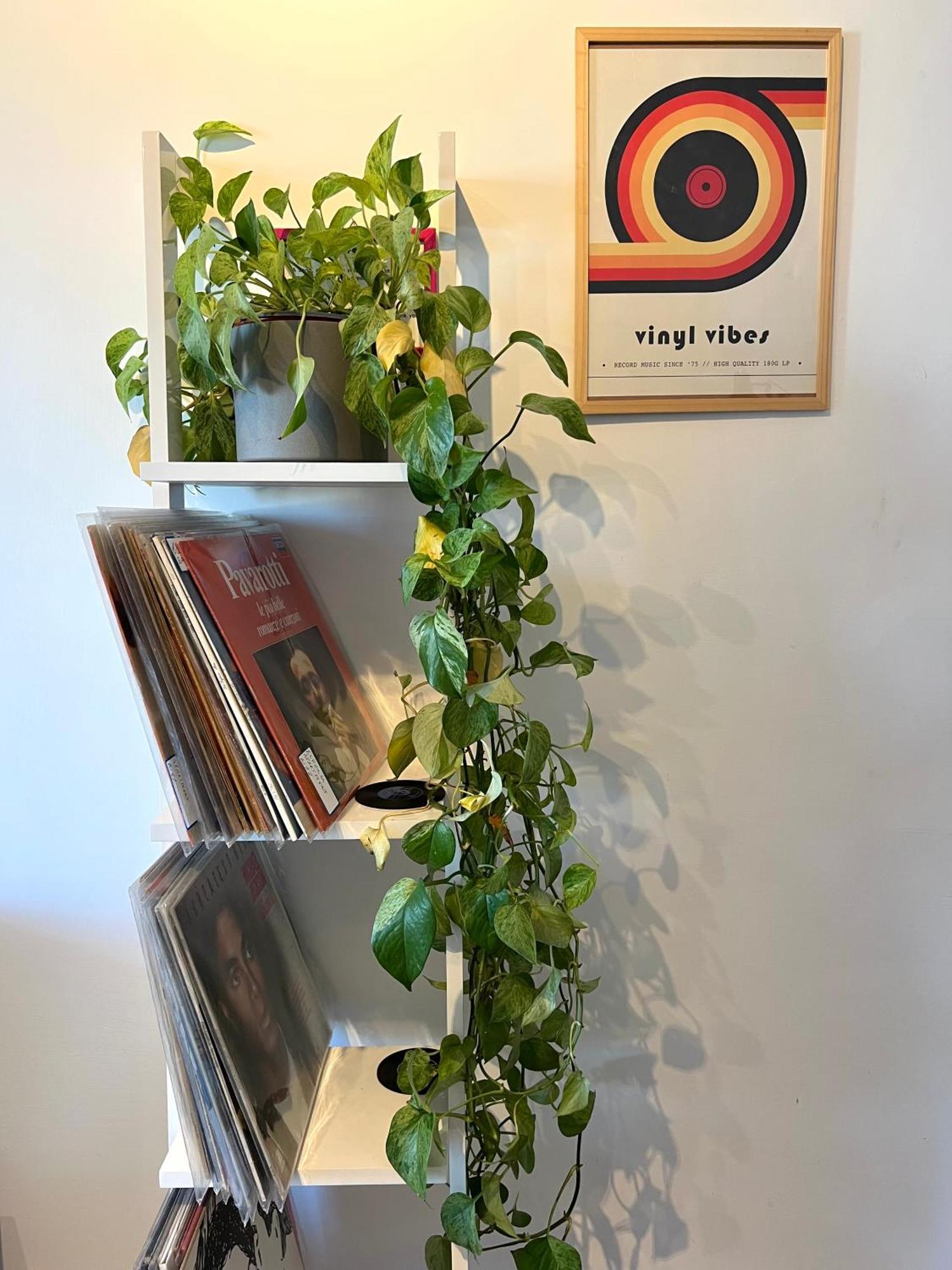 Apartamento Eufonia Vinyl Friendly Roma