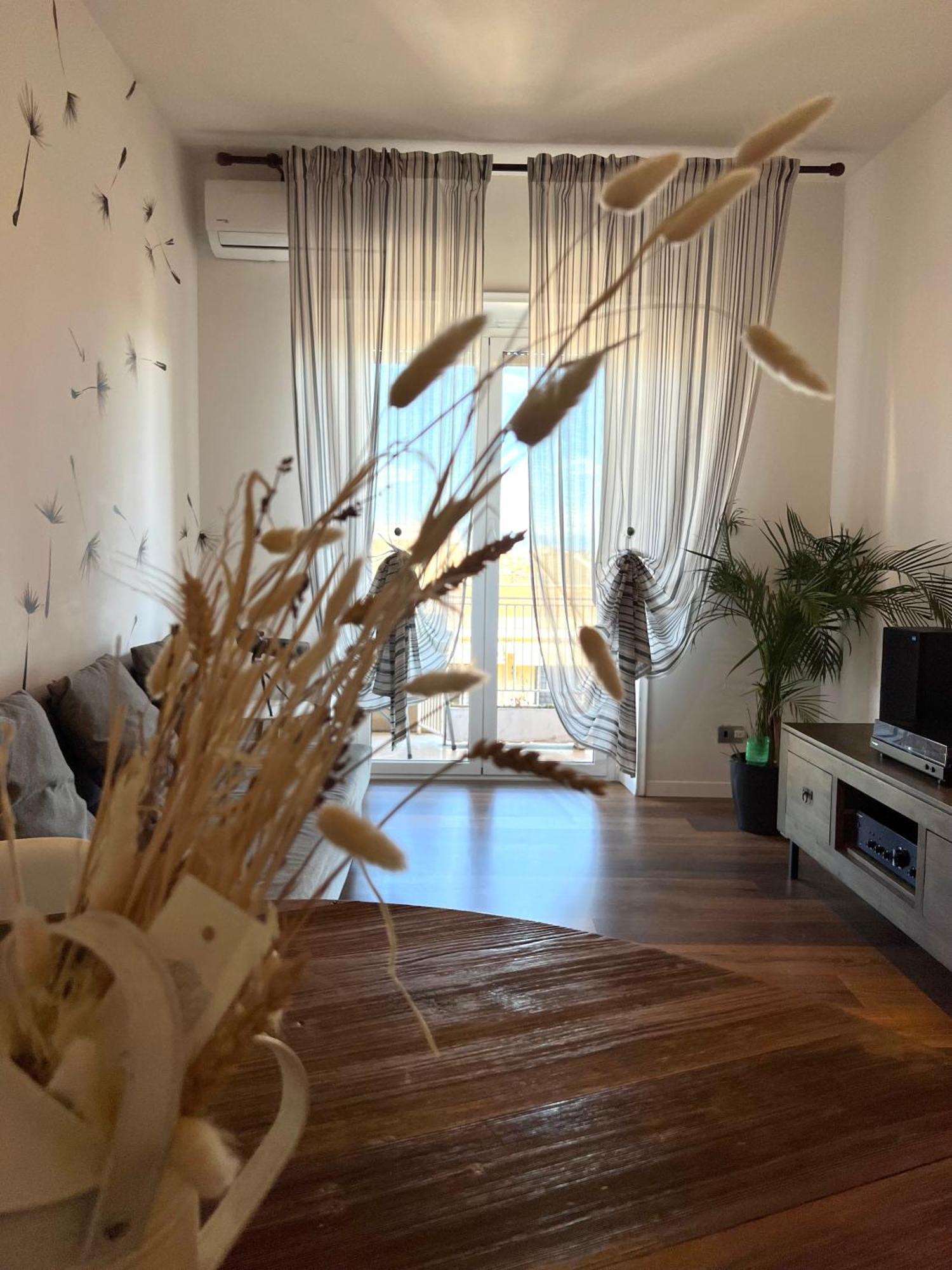 Eufonia Vinyl Friendly * Roma