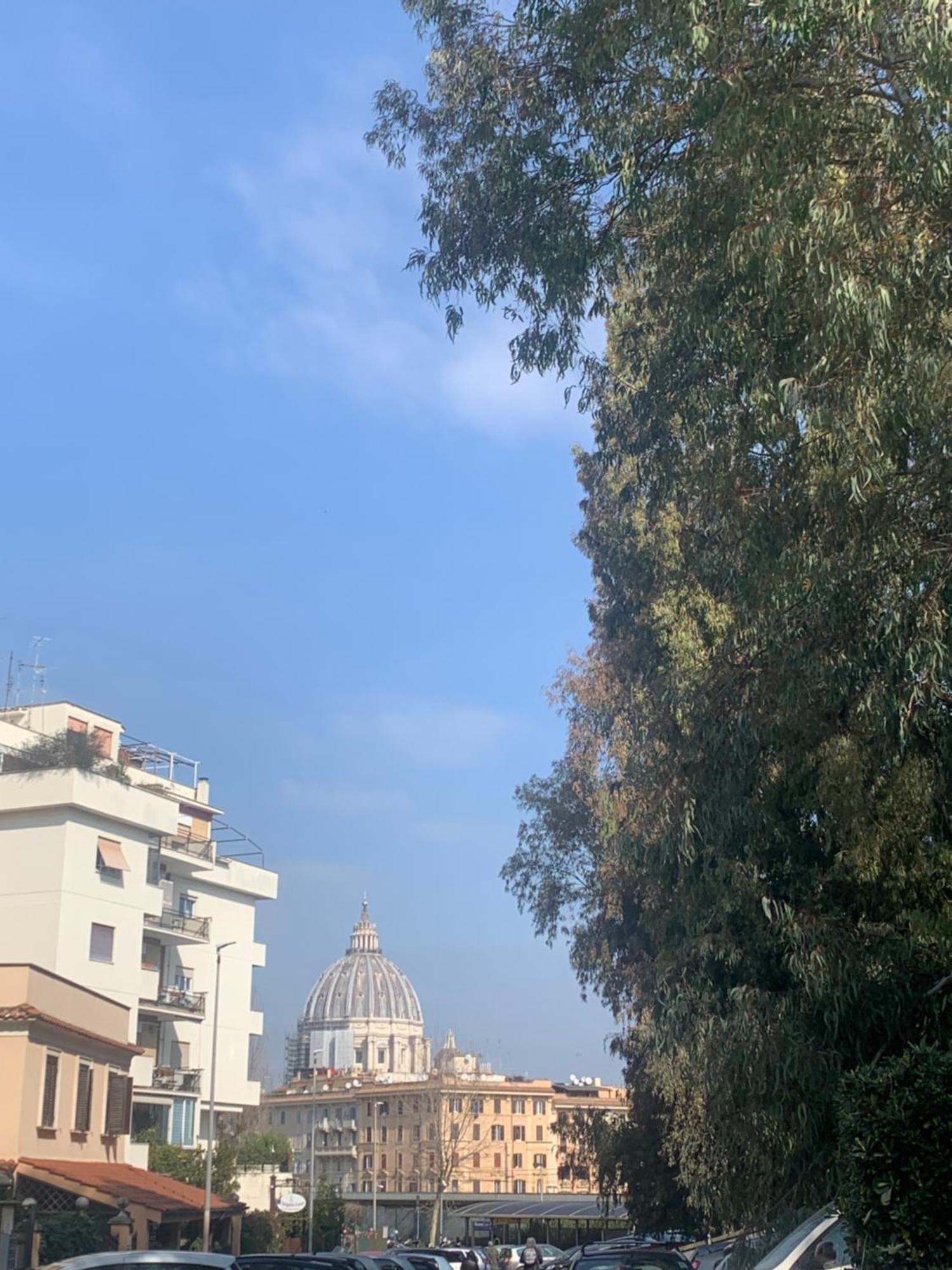 Vatican Flat Roma