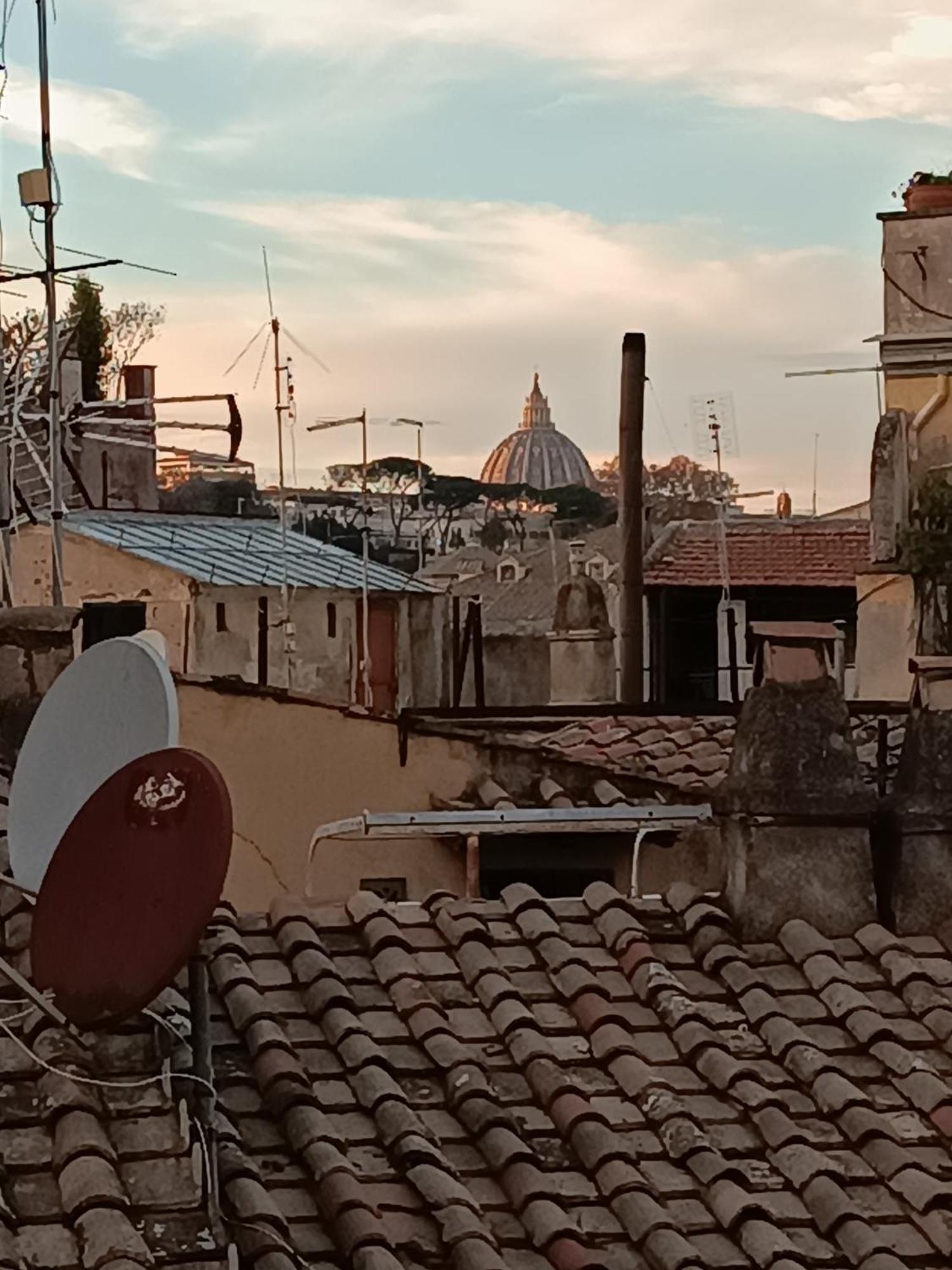 Nikis Collection Trastevere