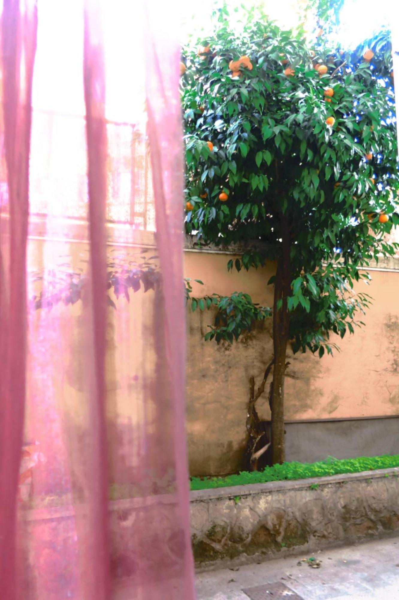 Acomodação com café da manhã  Casavostra 2 Roma