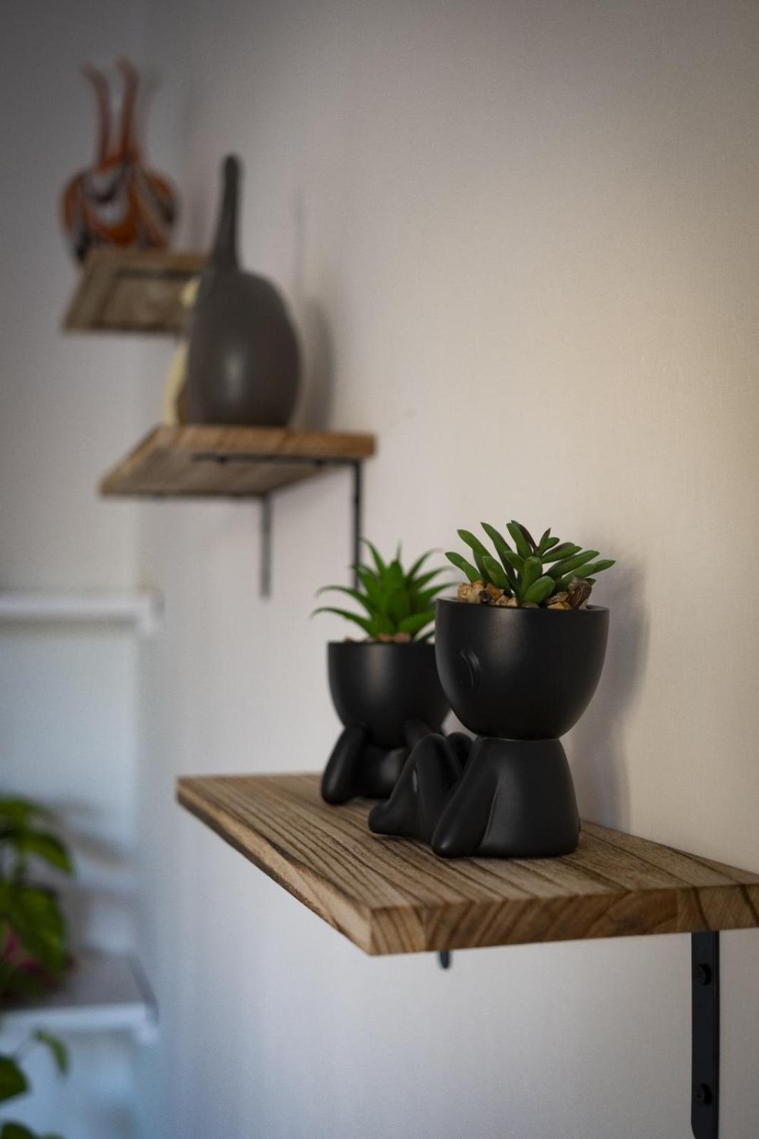 Lucy Cozy House Apartamento *