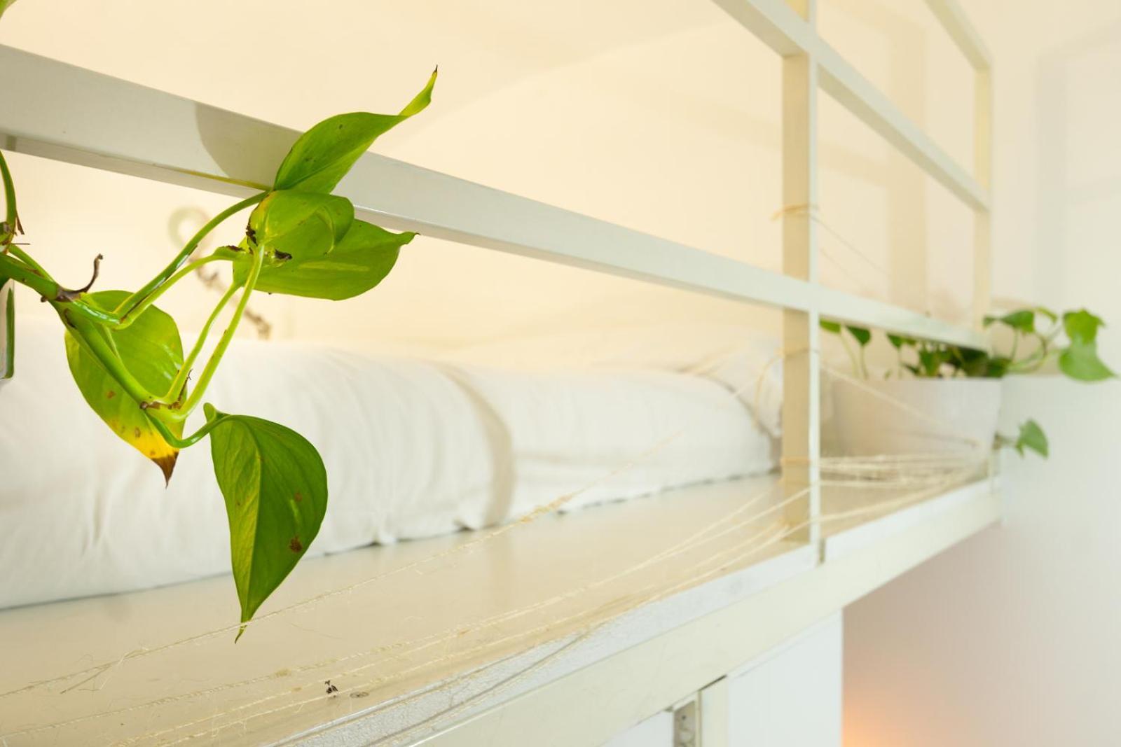 Apartamento Cozy Saint John *