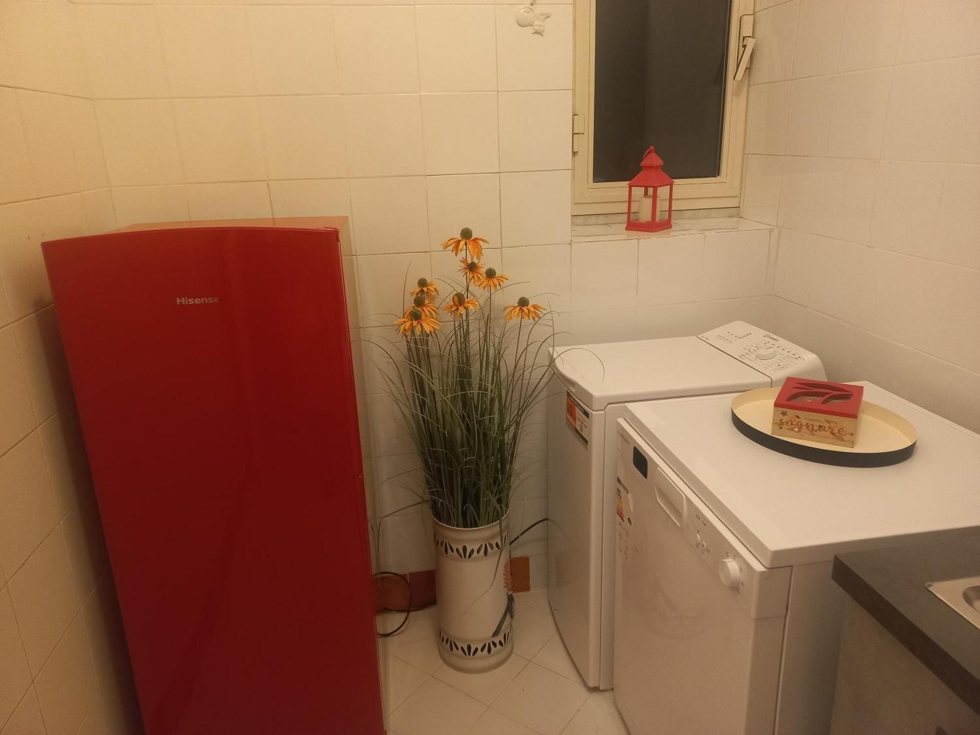Apartamento Stefanohouseroma Fontana Di Trevi *