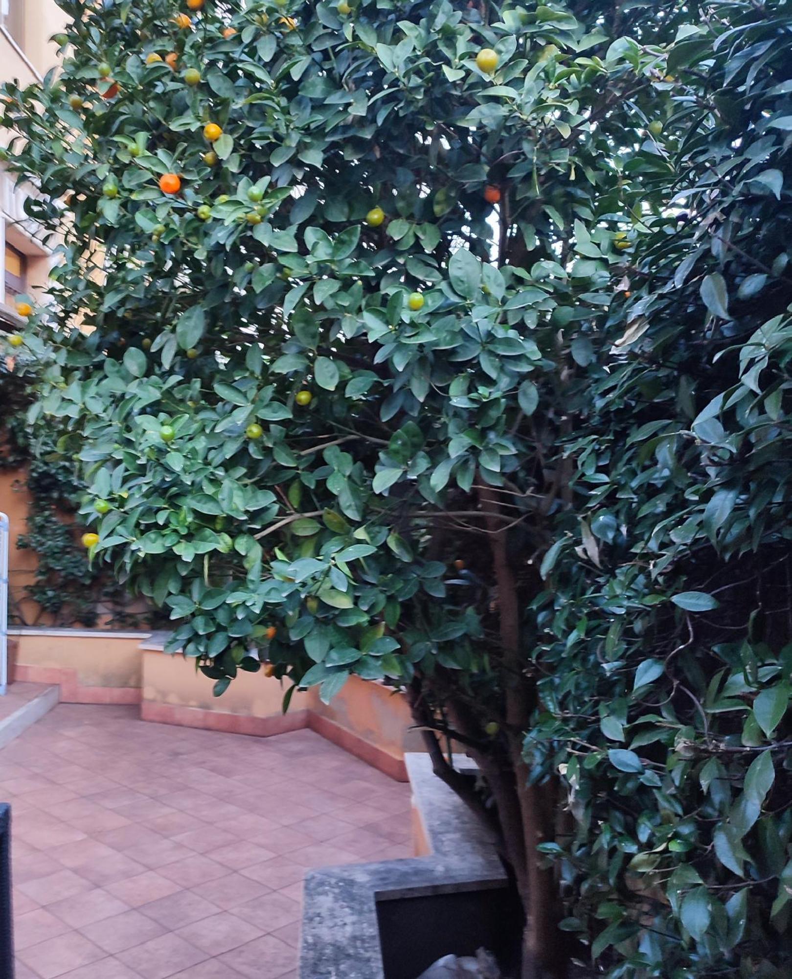 Casa Cartoni Appartamento Roma