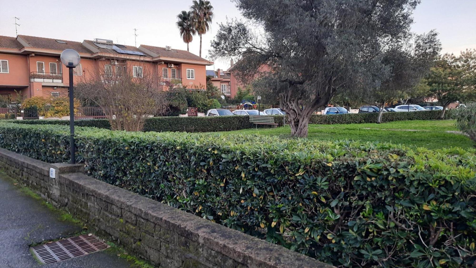La Mattina - Fiera Di - Aeroporto Fiumicino Roma