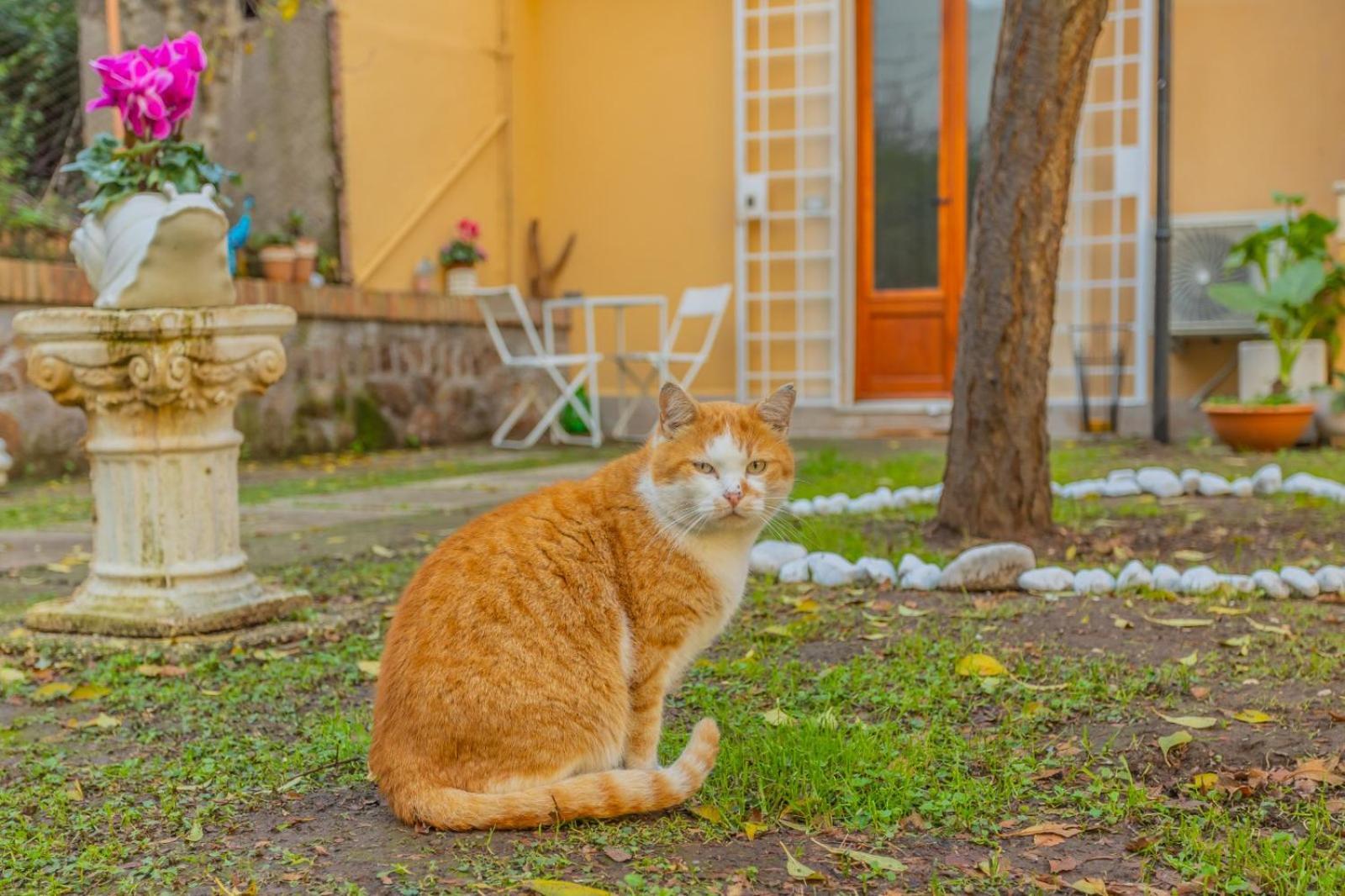 Homestay Gatta Rome