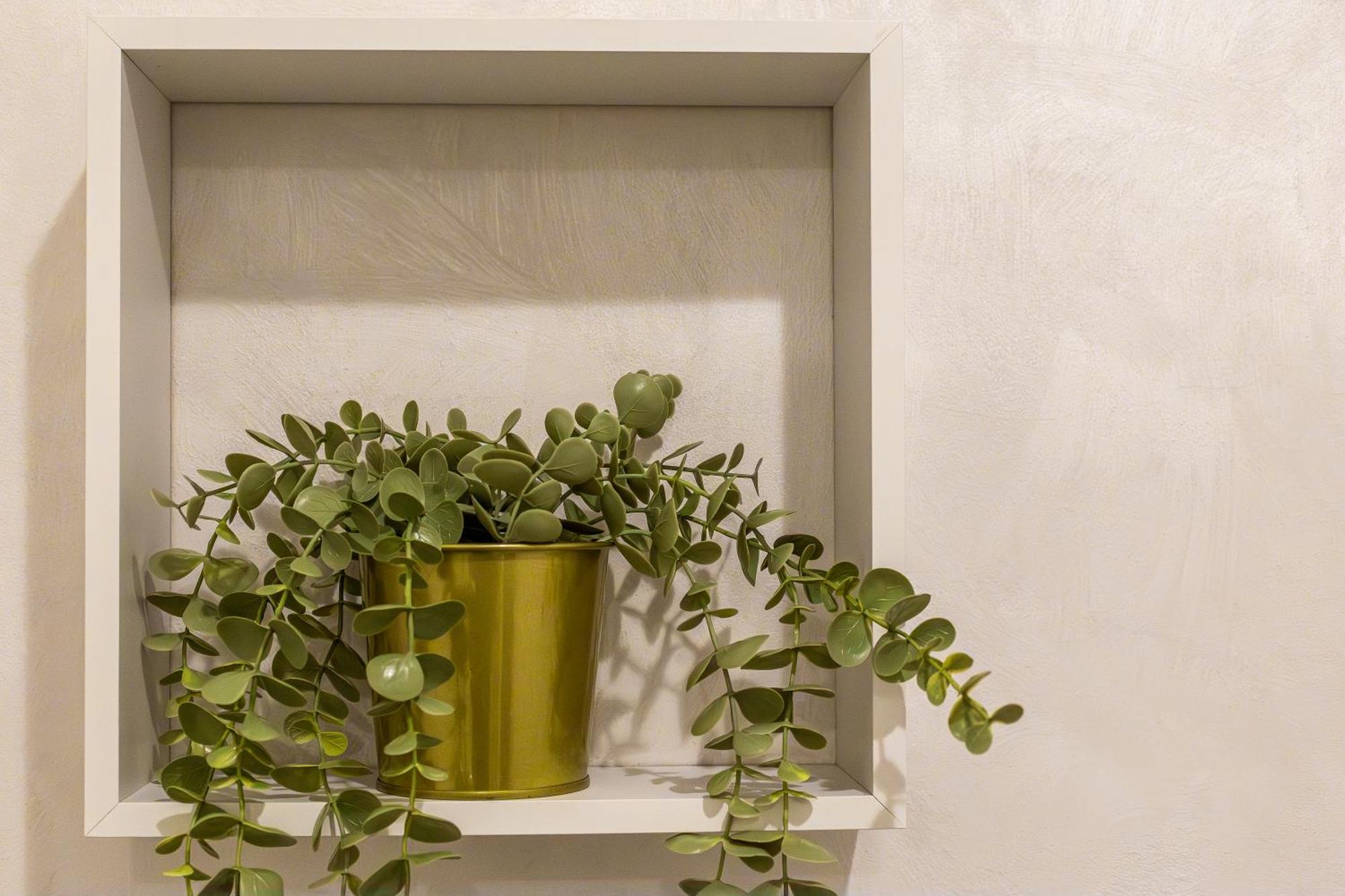 Iflat Cozy Flat At Two Steps From Vatican Apartment Rom